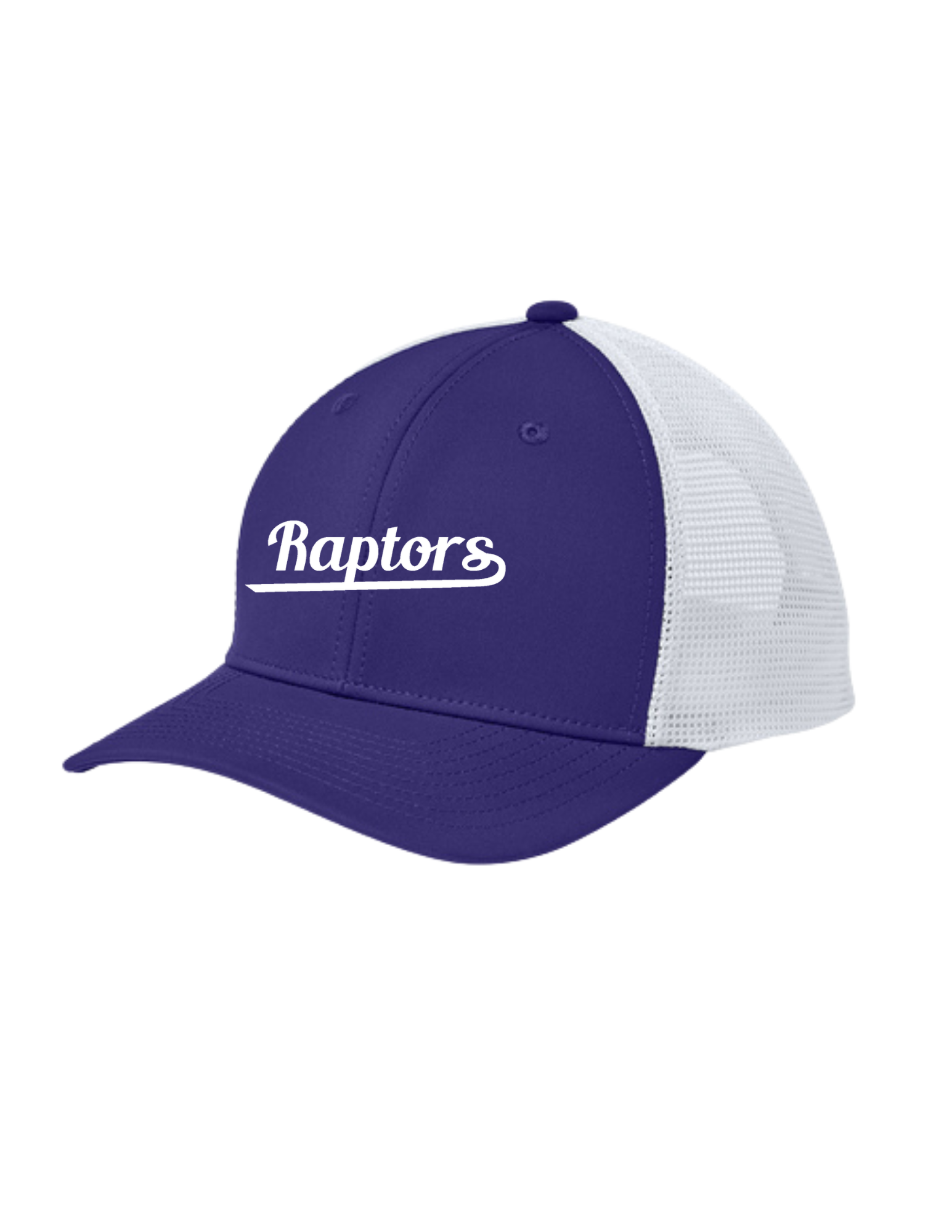 Raptors Club Trucker Cap