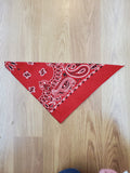 Print Bandana